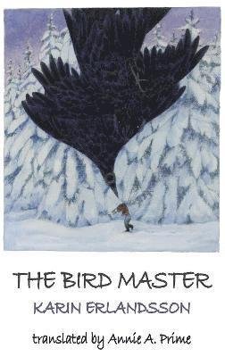 Cover for Karin Erlandsson · The Bird Master - Song of the Eye Stone (Paperback Book) (2022)