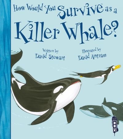 Cover for David Stewart · How Would You Survive As A Killer Whale? - How Would You Survive As A...? (Paperback Book) [Illustrated edition] (2020)