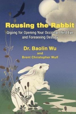 Cover for Wu Baolin · Rousing the Rabbit (Book) (2024)