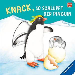 Cover for Frauke Nahrgang · Knack, so schlüpft der Pinguin (Buch) (2022)