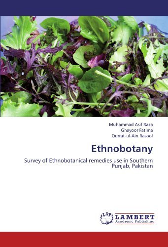 Cover for Qurrat-ul-ain Rasool · Ethnobotany: Survey of Ethnobotanical Remedies Use in Southern Punjab, Pakistan (Paperback Bog) (2012)