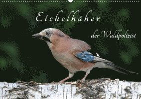 Cover for Konieczka · Eichelhäher der Waldpolizist (Book)