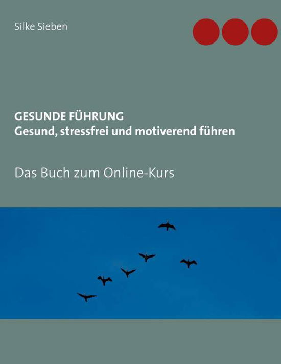 Cover for Sieben · Gesunde Führung - Gesund, stress (Book)