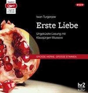 Cover for Iwan Turgenjew · Turgenjew:erste Liebe, Mp3-cd (CD)