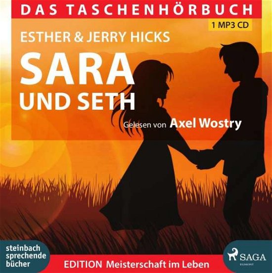 Sara und Seth [mp3-CD] - Hicks, Esther & Jerry - Musik -  - 9783862660742 - 15. december 2017