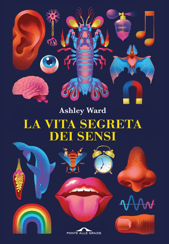 Cover for Ward Ashley · La Vita Segreta Dei Sensi (Book)