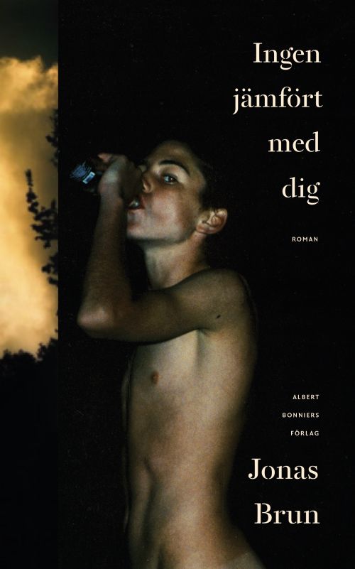 Cover for Jonas Brun · Ingen jämfört med dig (Hardcover Book) (2017)