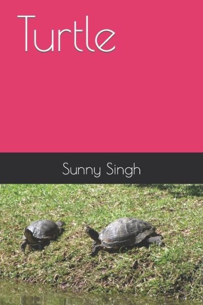 Cover for Sunny Singh · Turtle (Paperback Book) (2022)