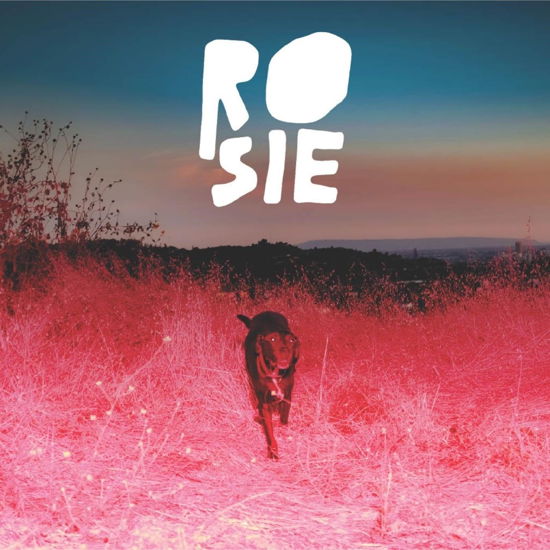 Cover for Kaycie Satterfield · Rosie (LP) (2024)