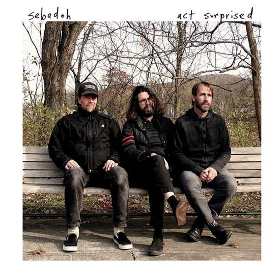 Cover for Sebadoh · Act Surprised (LP) [Coloured edition] (2019)