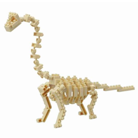 Cover for Nanoblock · Brachiosaurus skeletonNBC-114 (Book)