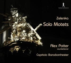 Cover for Zelenka / Potter · Solomotetten (CD) (2012)