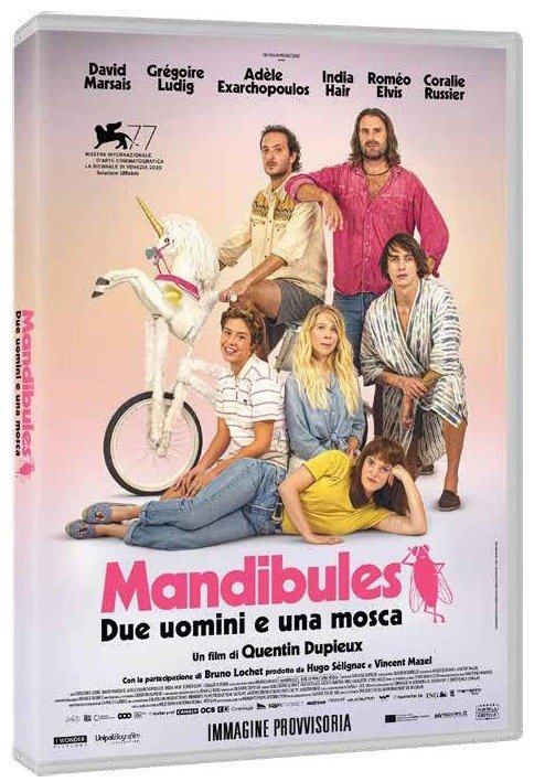 Cover for Mandibules - Due Uomini E Una (DVD) (2021)