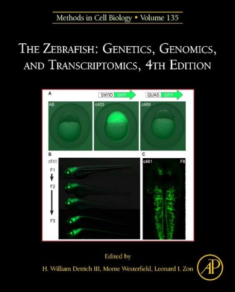 The Zebrafish: Genetics, Genomics, and Transcriptomics - III H Detrich - Bücher - Elsevier Science Publishing Co Inc - 9780128034743 - 21. Juli 2016