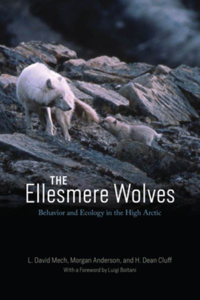 Cover for L. David Mech · The Ellesmere Wolves: Behavior and Ecology in the High Arctic (Paperback Book) (2025)