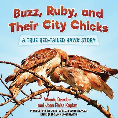 Cover for Wendy Drexler · Buzz, Ruby, and Their City Chicks (Paperback Book) (2016)