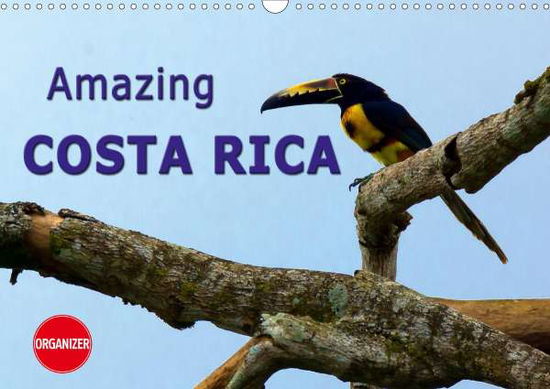 Cover for Schoen · Amazing Costa Rica (Wall Calenda (Book)