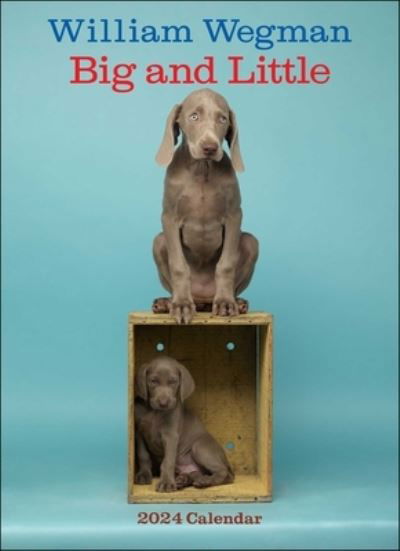 Cover for William Wegman · William Wegman Big and Little 2024 Wall Calendar (Kalender) (2023)