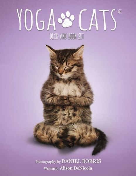 Cover for Alison Denicola · Yoga Cats Deck and Book Set (Flashkort) (2017)