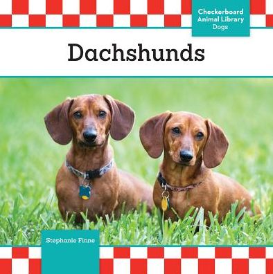 Dachshunds (Dogs Set 12) - Stephanie Finne - Books - Checkerboard Library - 9781624036743 - 2015