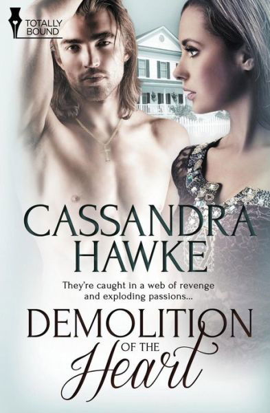 Cover for Cassandra Hawke · Demolition of the Heart (Paperback Book) (2014)