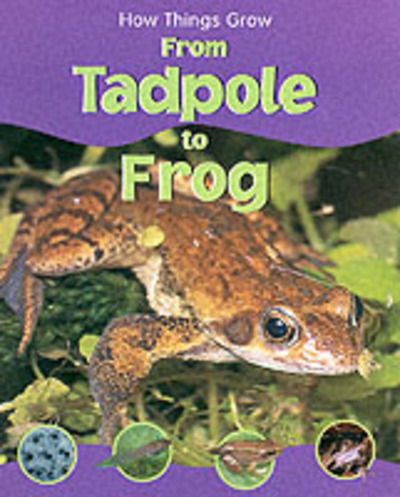 Cover for Sally Morgan · From Tadpole to Frog - How Things Grow S. (Hardcover Book) (2002)