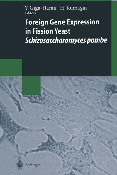 Cover for Yuko Giga-hama · Foreign Gene Expression in Fission Yeast: Schizosaccharomyces pombe - Biotechnology Intelligence Unit (Paperback Book) [Softcover reprint of the original 1st ed. 1997 edition] (2014)