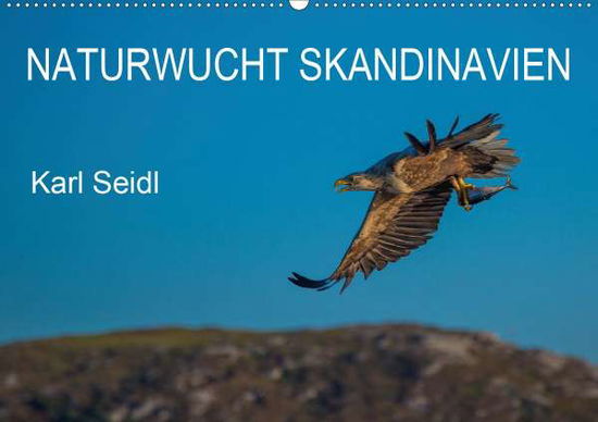 Cover for Seidl · Naturwucht Skandinavien (Wandkale (Book)