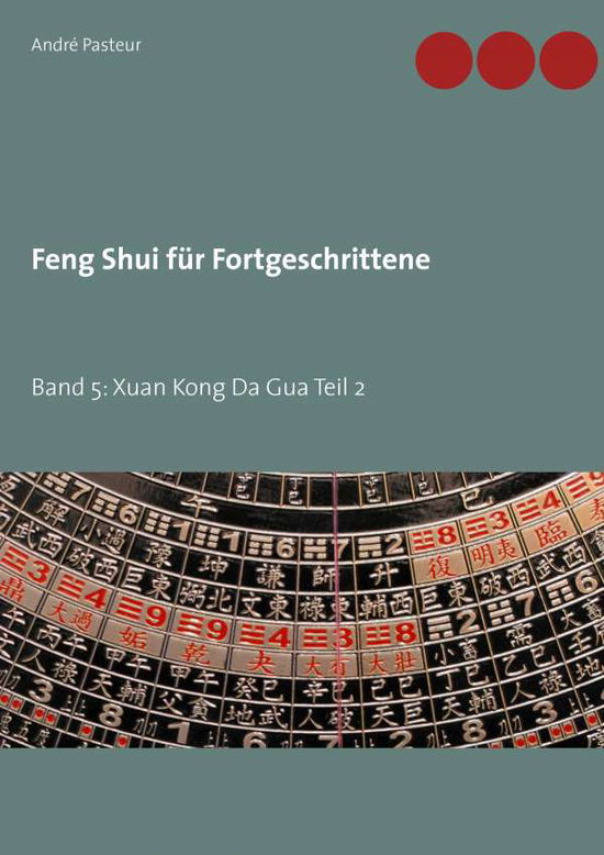 Cover for Pasteur · Feng Shui für Fortgeschrittene (Book)