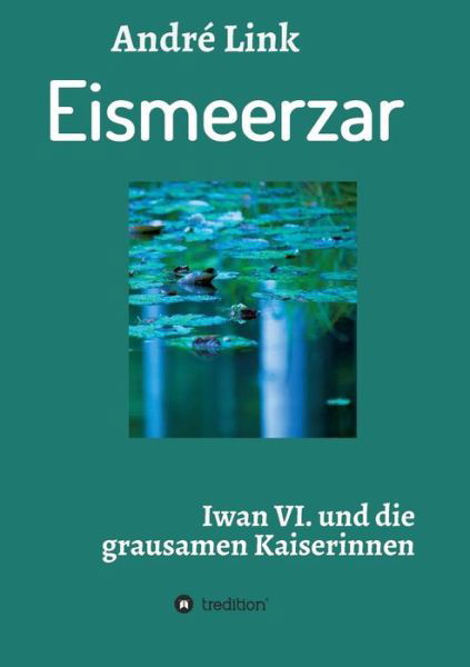 Cover for Link · Eismeerzar (Book) (2019)
