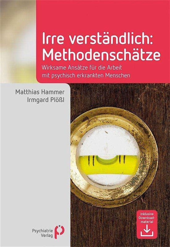 Cover for Hammer · Irre Verständlich: Methodenschät (Bok)