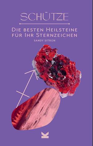 Cover for Sandy Sitron · Schütze (Bok) (2022)