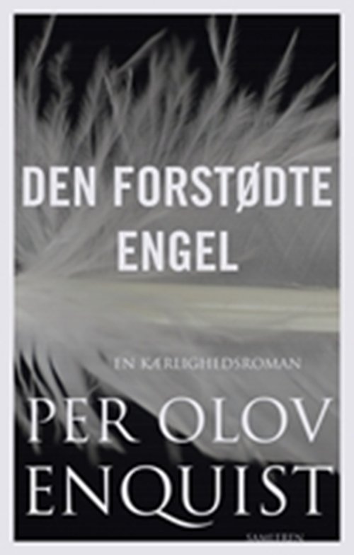 Cover for P.O. Enquist · Den forstødte engel (Pocketbok) [3:e utgåva] (2009)