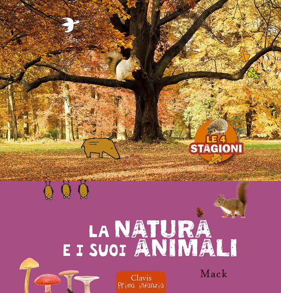 Cover for Mack · La Natura E I Suoi Animali. Le 4 Stagioni. Ediz. A Colori (Book)