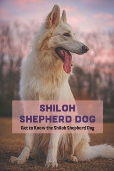 Cover for Gosnell Mollie · Shiloh Shepherd Dog: Get to Know the Shiloh Shepherd Dog (Taschenbuch) (2022)