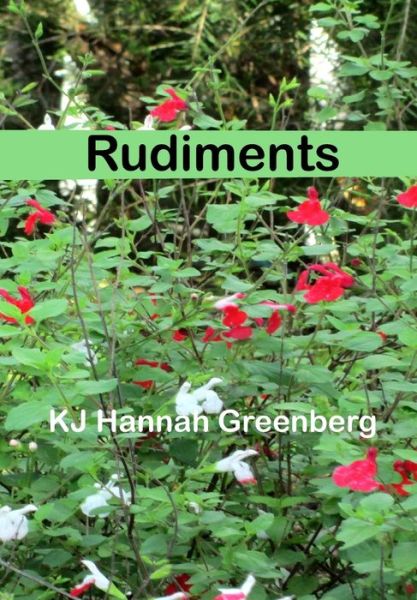 Cover for Kj Hannah Greenberg · Rudiments (Paperback Book) (2020)