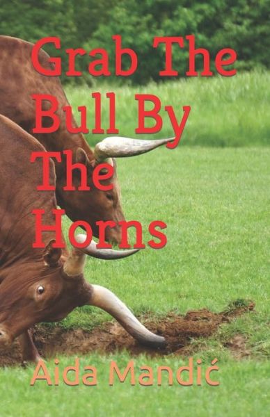 Cover for Aida Mandic · Grab The Bull By The Horns (Paperback Book) (2022)