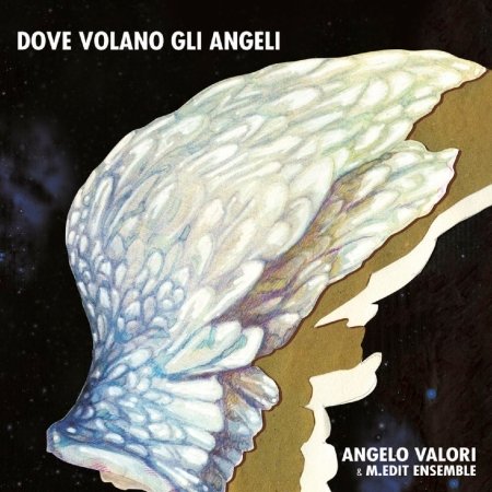 Cover for Angelo,valori &amp; M.edit Ensam · Dove Volano Gli Angeli (CD) (2010)