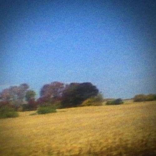 Cover for Sun Kil Moon · Benji (LP) [Limited edition] (2014)