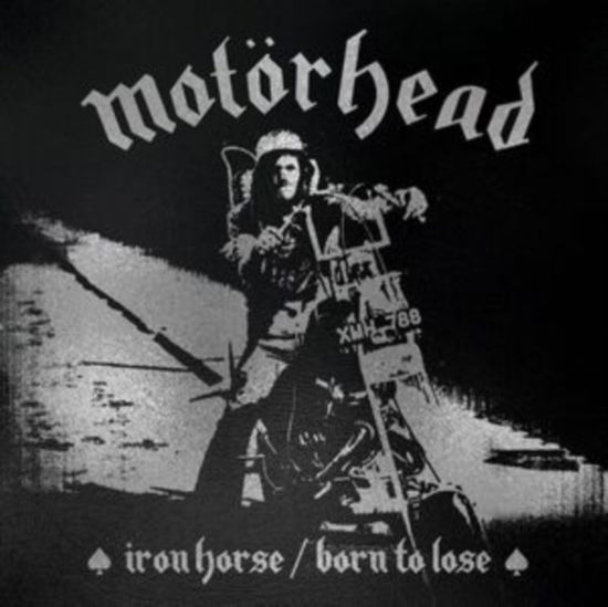 Iron Horse / Born To Lose - Motörhead - Musiikki - CLEOPATRA RECORDS - 0889466419744 - perjantai 9. kesäkuuta 2023