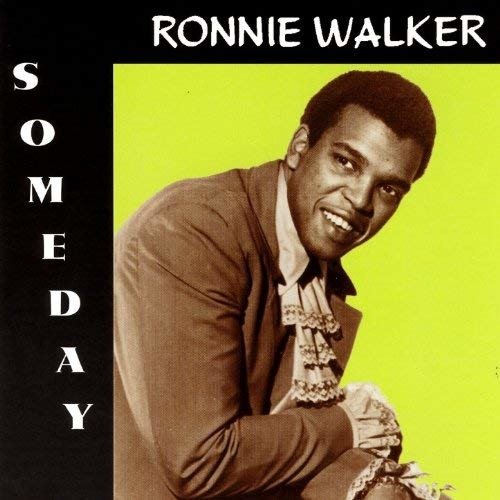 Cover for Ronnie Walker · Someday (CD) (2000)