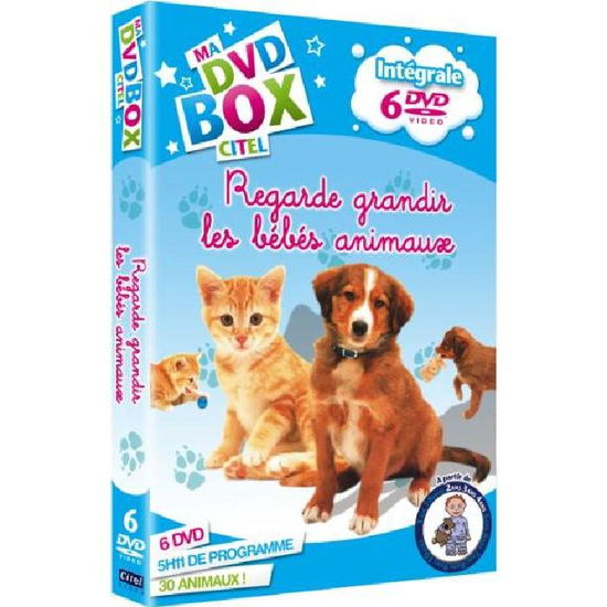 Cover for Regarde Grandir Les Bebes Animaux Integrale 6 Dvd (DVD) (2018)