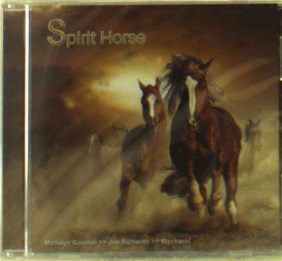 Cover for Medwyn Goodall · Spirit Horse (CD) (2016)