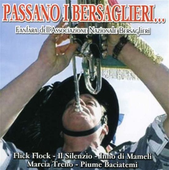 Cover for I Gondolieri Della Laguna · Souvenir Di Venezia 2 (CD)