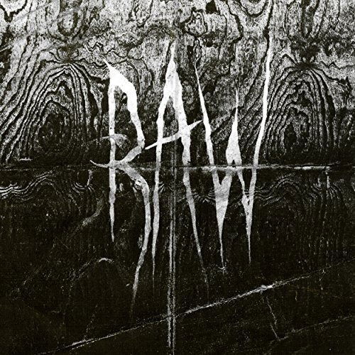 From The First Glass To The Grave - Raw - Music - AURAL MUSIC - 8033622535744 - September 14, 2017
