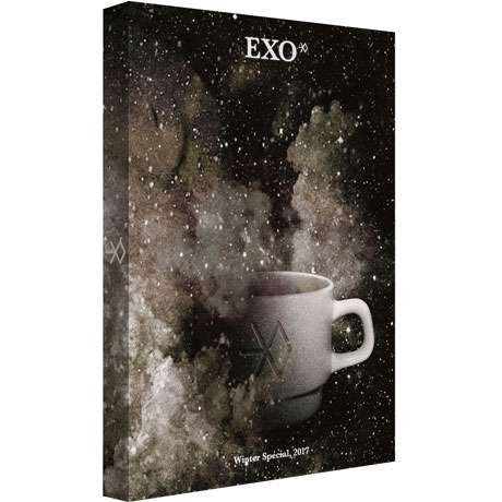 Cover for Exo · 2017 Winter Special Album (CD) (2017)