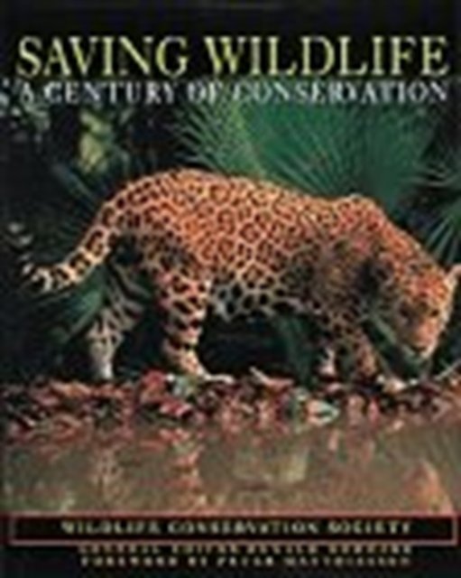 Saving Wildlife: A Century of Conservation -  - Libros - Abrams - 9780810936744 - 1 de abril de 1995