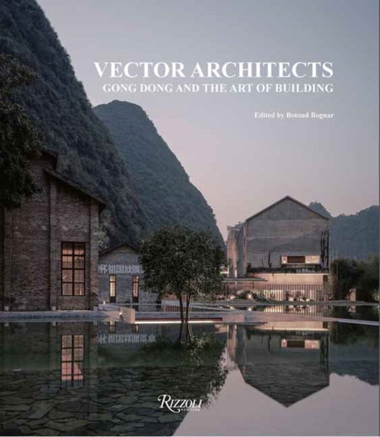 Vector Architects: Gong Dong and the Art of Building - Architects, Gong Dong and Vector - Bücher - Rizzoli International Publications - 9780847835744 - 1. Oktober 2024