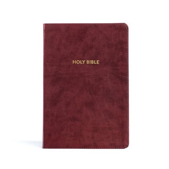 Cover for Holman Bible Holman Bible Staff · KJV Rainbow Study Bible, Burgundy LeatherTouch, Indexed (Book) (2023)