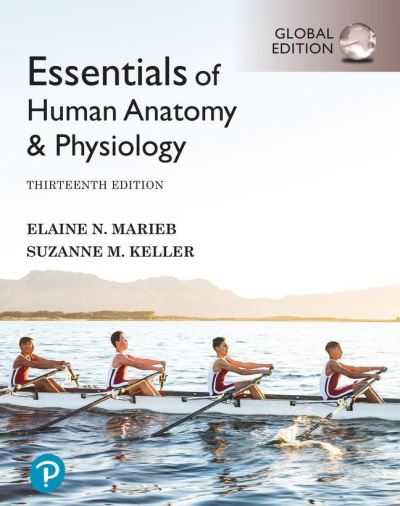 Cover for Elaine Marieb · Essentials of Human Anatomy &amp; Physiology, Global Edition + Mastering A&amp;P with Pearson eText (Bog) (2021)